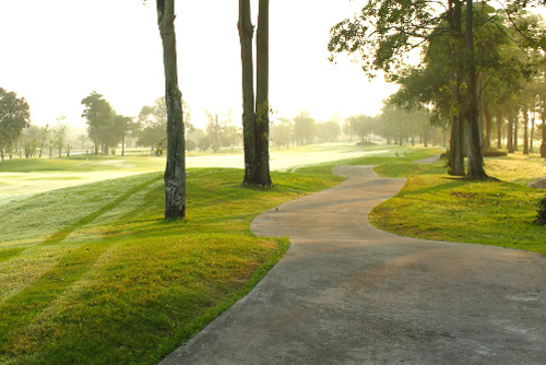 Golfing